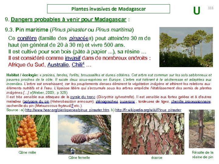 U Plantes invasives de Madagascar 9. Dangers probables à venir pour Madagascar : 111
