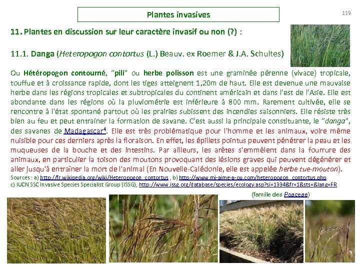 Plantes invasives 119 11. Plantes en discussion sur leur caractère invasif ou non (?
