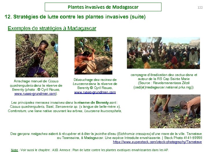 Plantes invasives de Madagascar 122 12. Stratégies de lutte contre les plantes invasives (suite)