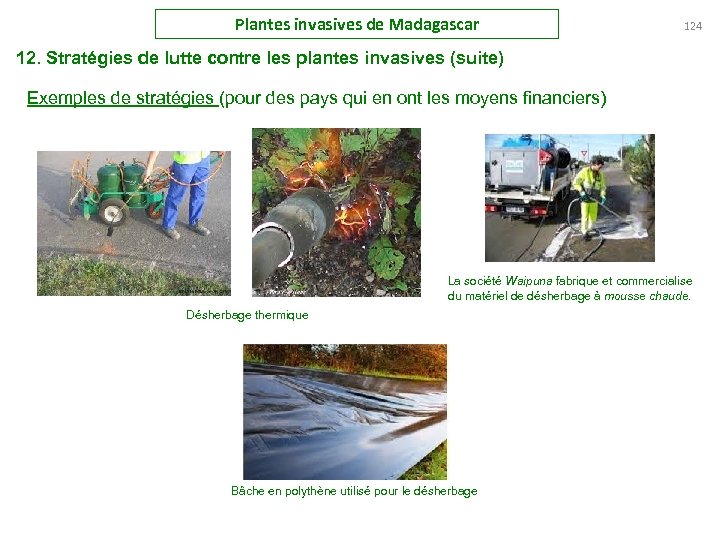Plantes invasives de Madagascar 124 12. Stratégies de lutte contre les plantes invasives (suite)