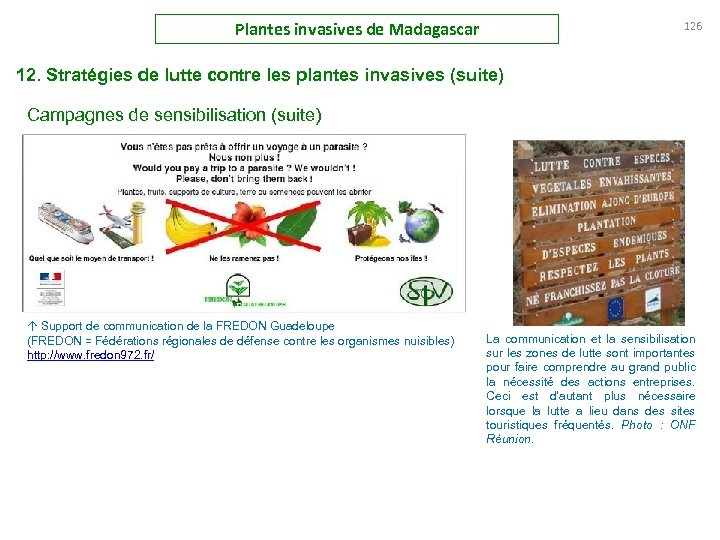 Plantes invasives de Madagascar 126 12. Stratégies de lutte contre les plantes invasives (suite)
