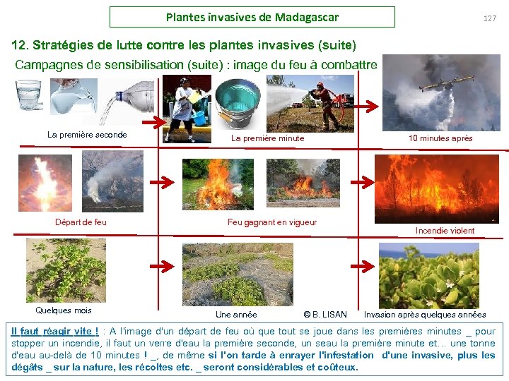 Plantes invasives de Madagascar 127 12. Stratégies de lutte contre les plantes invasives (suite)