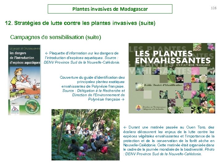 Plantes invasives de Madagascar 128 12. Stratégies de lutte contre les plantes invasives (suite)