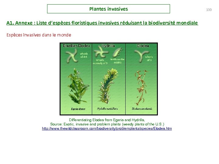 Plantes invasives A 1. Annexe : Liste d’espèces floristiques invasives réduisant la biodiversité mondiale