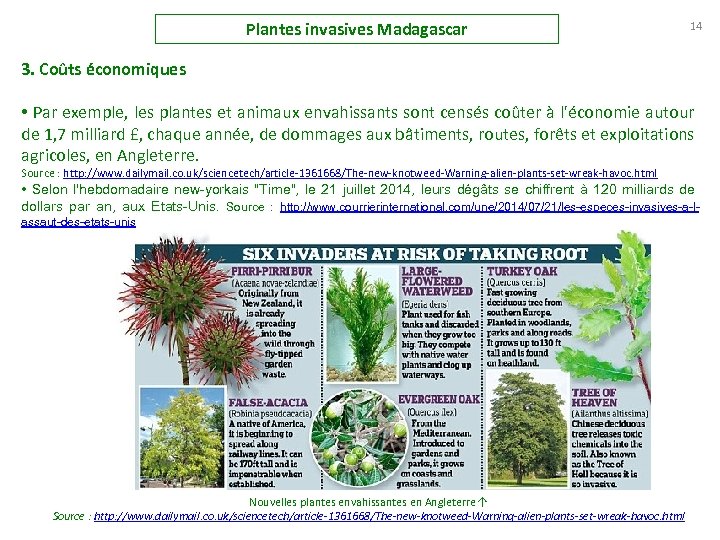 Plantes invasives Madagascar 14 3. Coûts économiques • Par exemple, les plantes et animaux