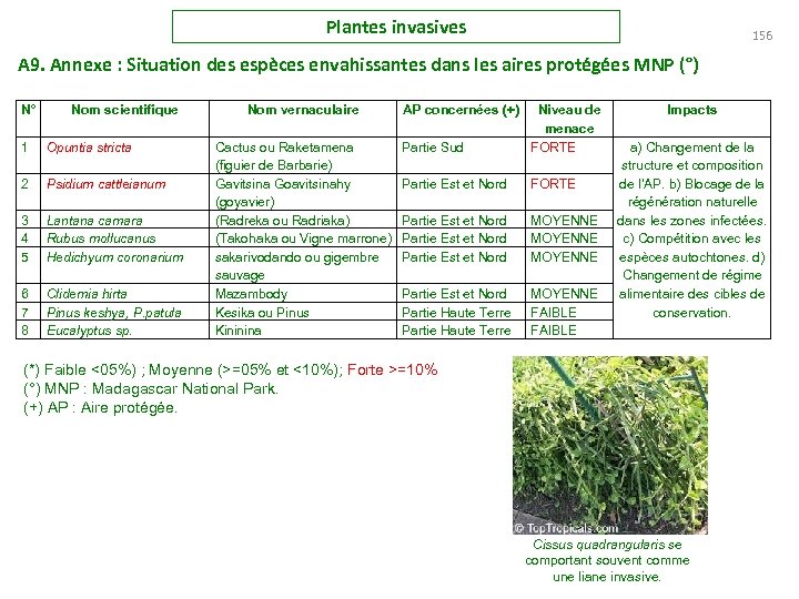 Plantes invasives 156 A 9. Annexe : Situation des espèces envahissantes dans les aires