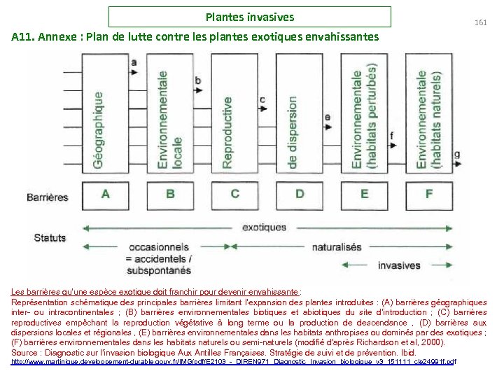 Plantes invasives 161 A 11. Annexe : Plan de lutte contre les plantes exotiques