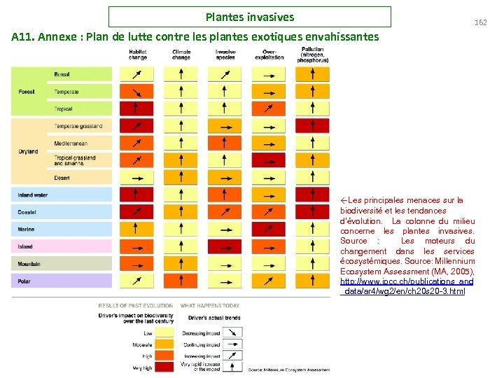 Plantes invasives 162 A 11. Annexe : Plan de lutte contre les plantes exotiques