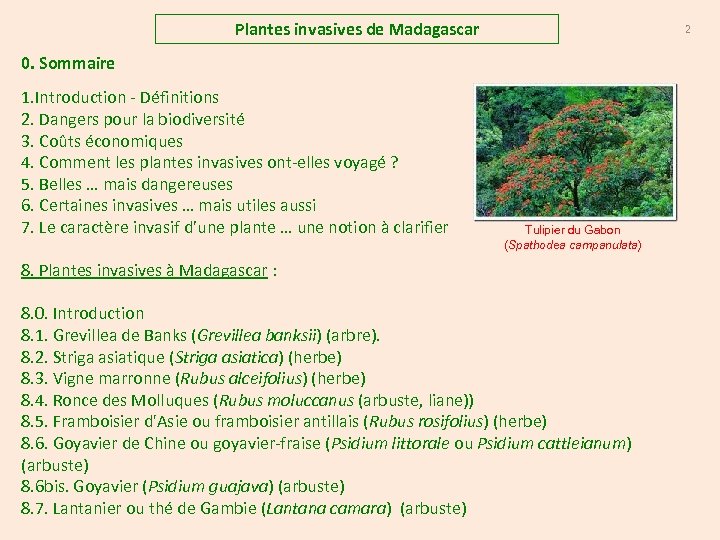Plantes invasives de Madagascar 2 0. Sommaire 1. Introduction - Définitions 2. Dangers pour