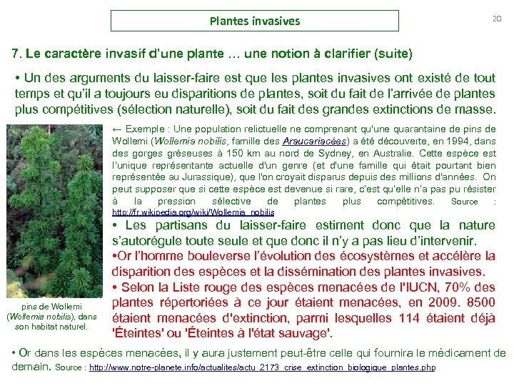 Plantes invasives 20 7. Le caractère invasif d’une plante … une notion à clarifier