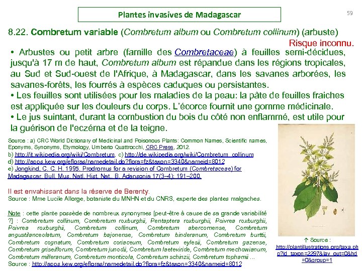 Plantes invasives de Madagascar 59 8. 22. Combretum variable (Combretum album ou Combretum collinum)