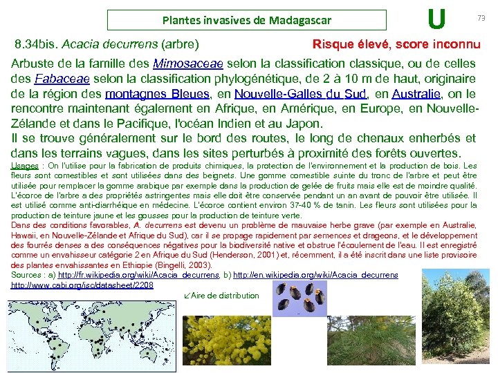 Plantes invasives de Madagascar U 73 8. 34 bis. Acacia decurrens (arbre) Risque élevé,
