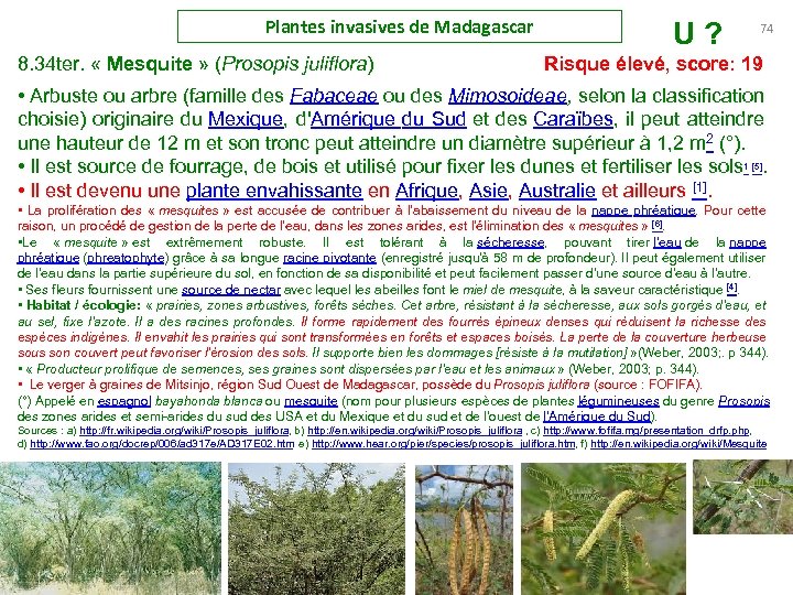 Plantes invasives de Madagascar U ? 74 8. 34 ter. « Mesquite » (Prosopis