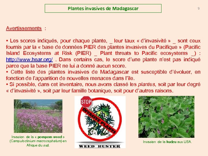 Plantes invasives de Madagascar 9 Avertissements : • Les scores indiqués, pour chaque plante,