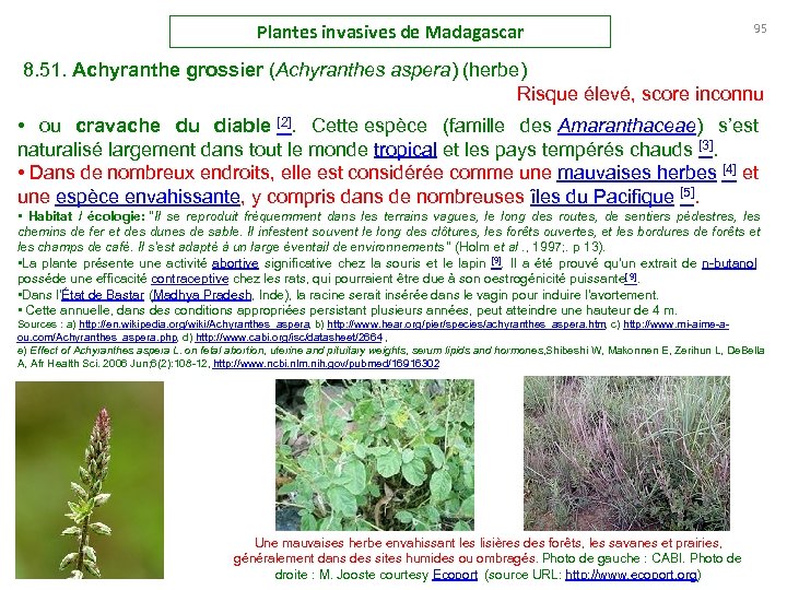 Plantes invasives de Madagascar 95 8. 51. Achyranthe grossier (Achyranthes aspera) (herbe) Risque élevé,
