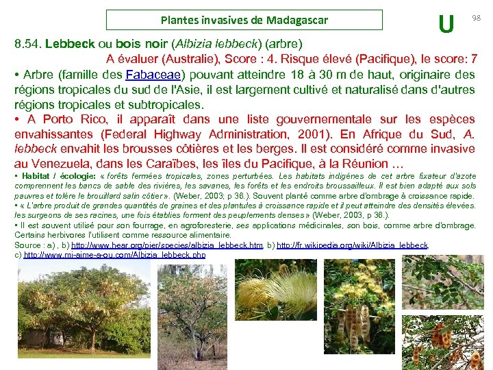 Plantes invasives de Madagascar U 98 8. 54. Lebbeck ou bois noir (Albizia lebbeck)