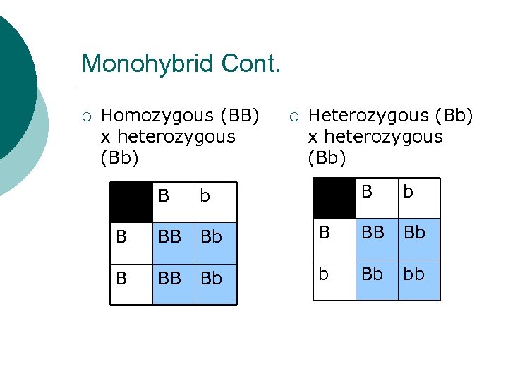 Monohybrid Cont. ¡ Homozygous (BB) x heterozygous (Bb) B BB Bb Heterozygous (Bb) x