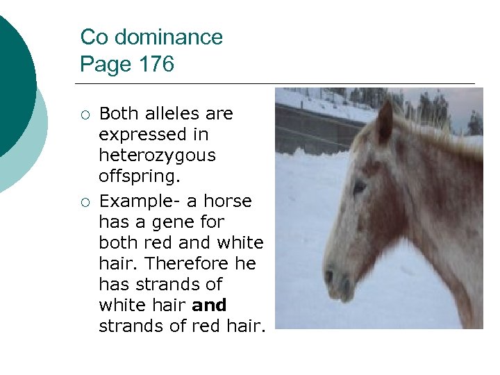 Co dominance Page 176 ¡ ¡ Both alleles are expressed in heterozygous offspring. Example-
