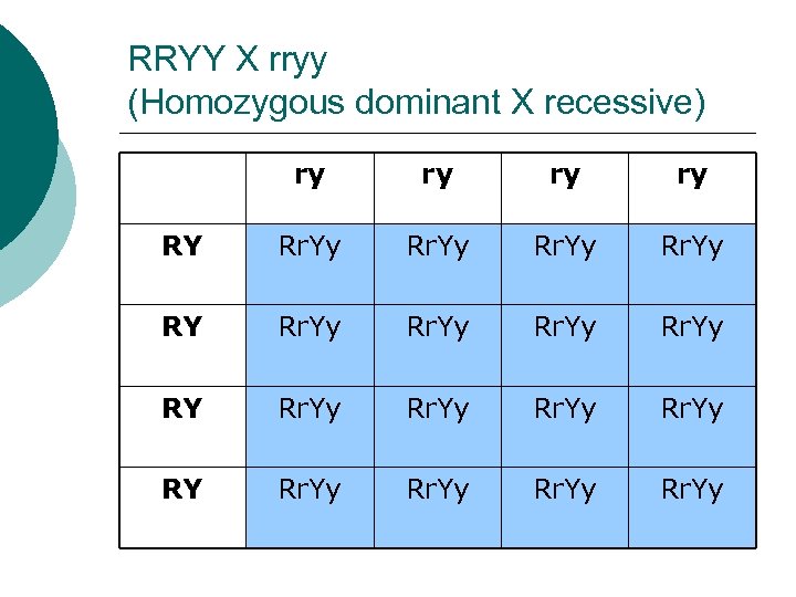 RRYY X rryy (Homozygous dominant X recessive) ry ry RY Rr. Yy Rr. Yy