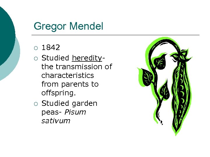 Gregor Mendel ¡ ¡ ¡ 1842 Studied hereditythe transmission of characteristics from parents to