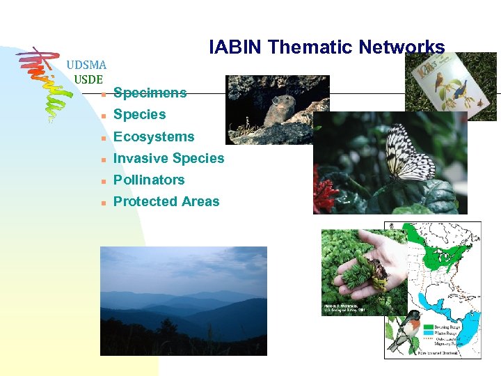 UDSMA USDE IABIN Thematic Networks n Specimens n Species n Ecosystems n Invasive Species