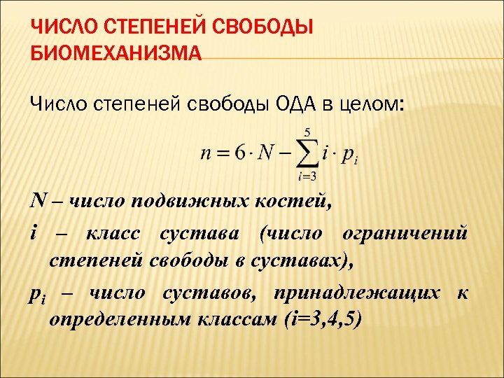 ЧИСЛО СТЕПЕНЕЙ СВОБОДЫ БИОМЕХАНИЗМА Число степеней свободы ОДА в целом: N – число подвижных