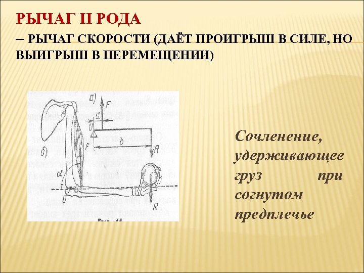 РЫЧАГ II РОДА – РЫЧАГ СКОРОСТИ (ДАЁТ ПРОИГРЫШ В СИЛЕ, НО ВЫИГРЫШ В ПЕРЕМЕЩЕНИИ)