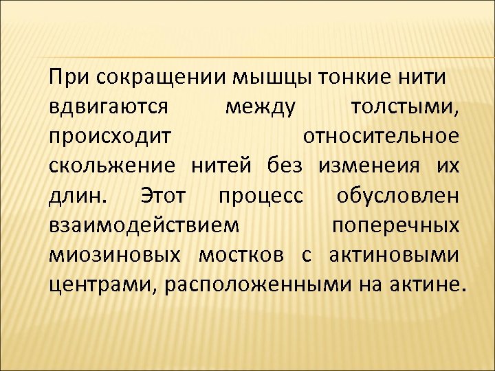 При сокращении мышцы тонкие нити вдвигаются между толстыми, происходит относительное скольжение нитей без изменеия