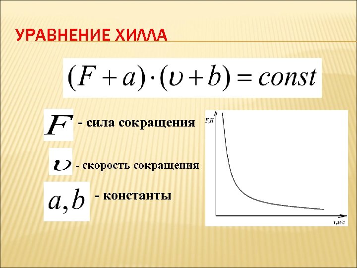 Скорость сокращения