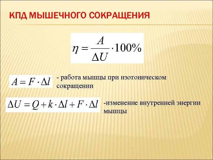 КПД МЫШЕЧНОГО СОКРАЩЕНИЯ - работа мышцы при изотоническом сокращении -изменение внутренней энергии мышцы 