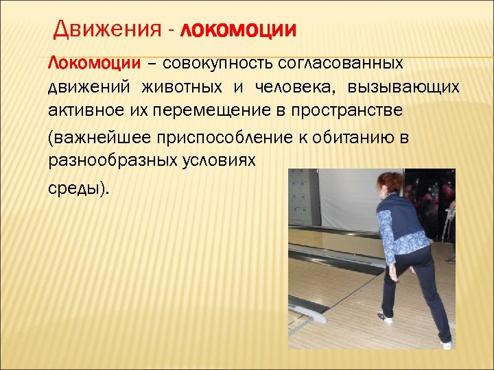 Движения - локомоции Локомоции – совокупность согласованных движений животных и человека, вызывающих активное их