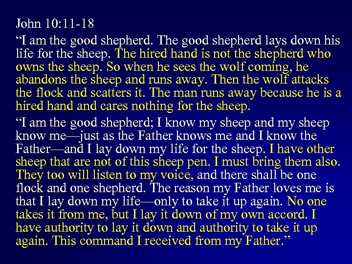 John 10: 11 -18 “I am the good shepherd. The good shepherd lays down