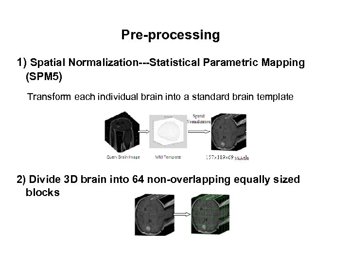 Pre-processing 1) Spatial Normalization---Statistical Parametric Mapping (SPM 5) Transform each individual brain into a