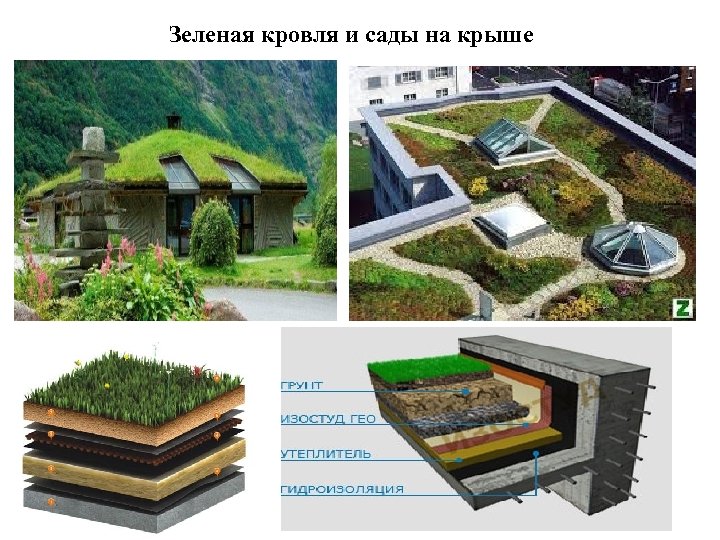 Зеленая кровля и сады на крыше 