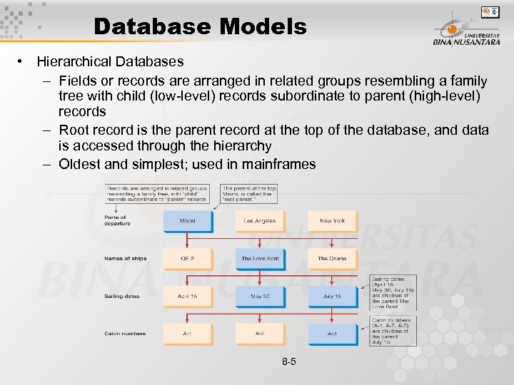 Database Models • Hierarchical Databases – Fields or records are arranged in related groups