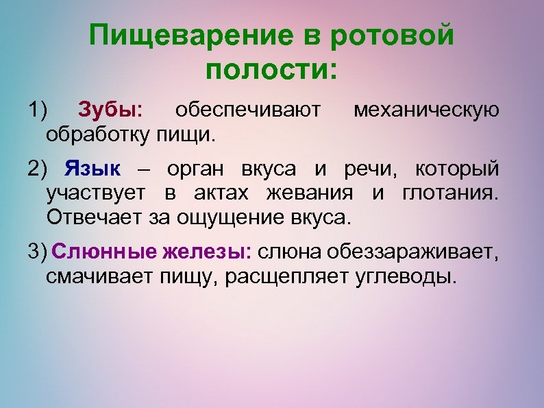 Пищеварение в ротовой полости: 1) Зубы: обеспечивают обработку пищи. механическую 2) Язык – орган