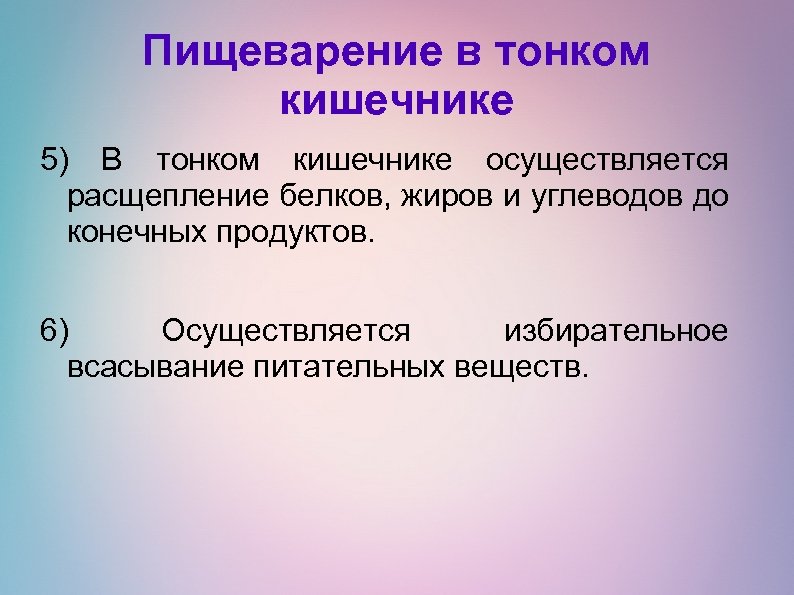 Пищеварение в тонком кишечнике 5) В тонком кишечнике осуществляется расщепление белков, жиров и углеводов