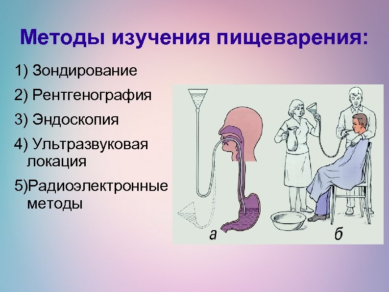 Методы изучения пищеварения: 1) Зондирование 2) Рентгенография 3) Эндоскопия 4) Ультразвуковая локация 5)Радиоэлектронные методы