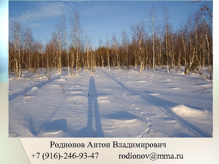 Родионов Антон Владимирович +7 (916)-246 -93 -47 rodionov@mma. ru 