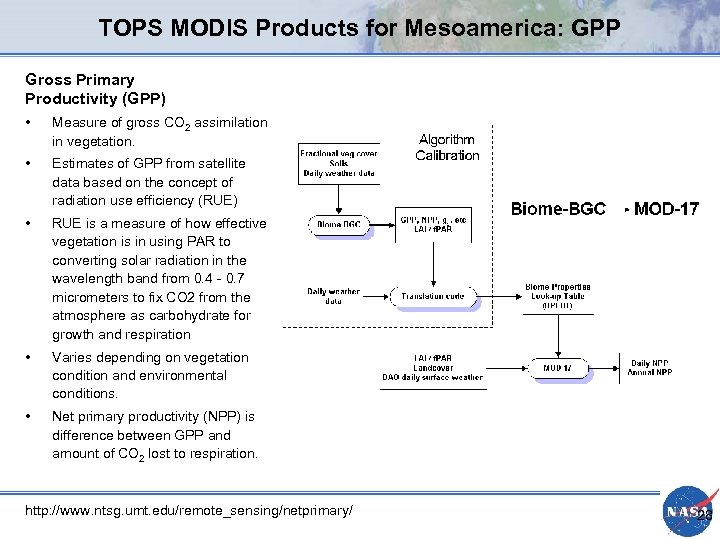 TOPS MODIS Products for Mesoamerica: GPP Gross Primary Productivity (GPP) • Measure of gross