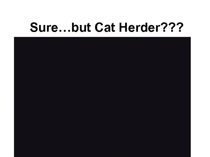 Sure…but Cat Herder? ? ? 