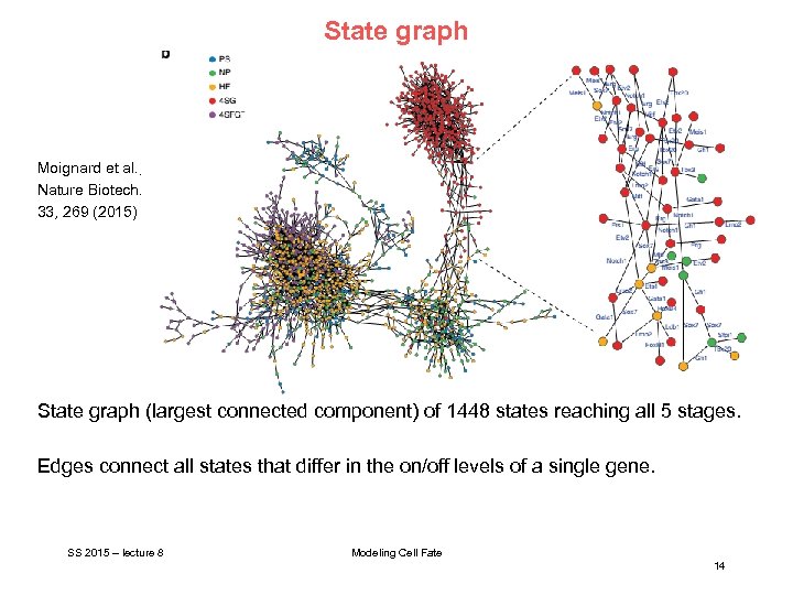 State graph Moignard et al. , Nature Biotech. 33, 269 (2015) State graph (largest