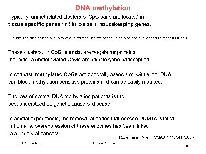 DNA methylation Typically, unmethylated clusters of Cp. G pairs are located in tissue-specific genes