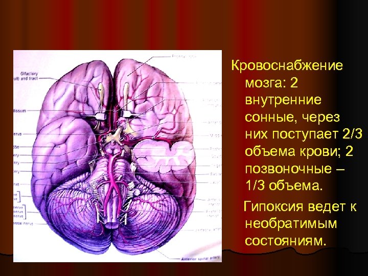 Норколут при кровотечении схема приема