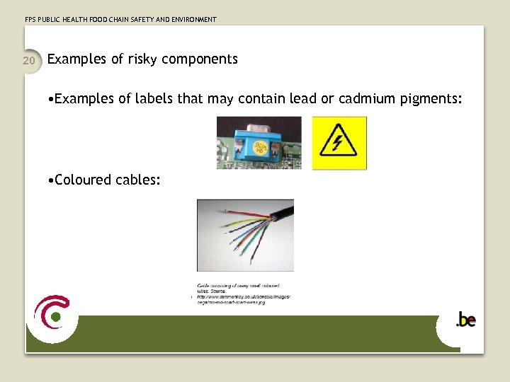 FPS PUBLIC HEALTH FOOD CHAIN SAFETY AND ENVIRONMENT 20 Examples of risky components •