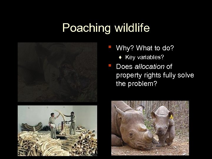 Poaching wildlife ▪ ▪ Why? What to do? ♦ Key variables? Does allocation of