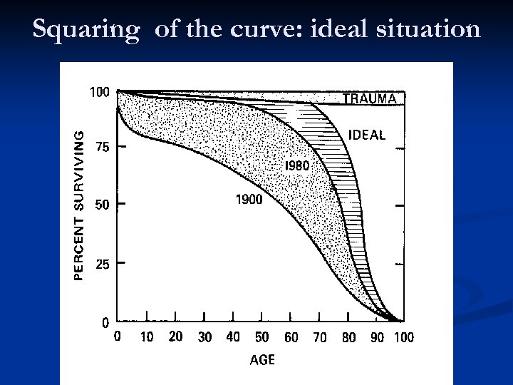 Squaring of the curve: ideal situation 