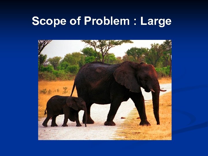 Scope of Problem : Large 