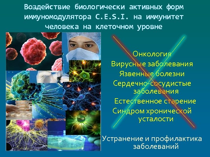 Воздействие биологически активных форм иммуномодулятора C. E. S. I. на иммунитет человека на клеточном