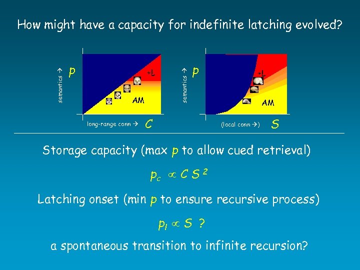 p +L AM long-range conn semantics How might have a capacity for indefinite latching